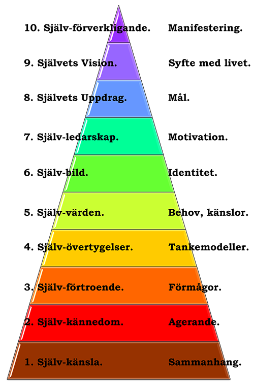 Självsökandets nivåer