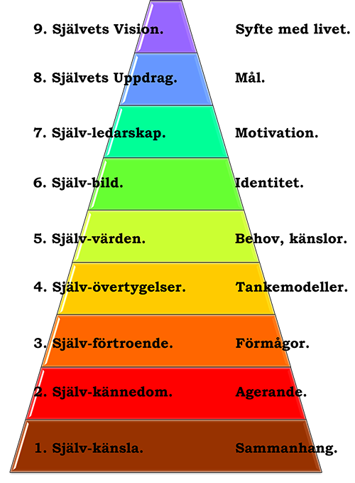 Självets Vision