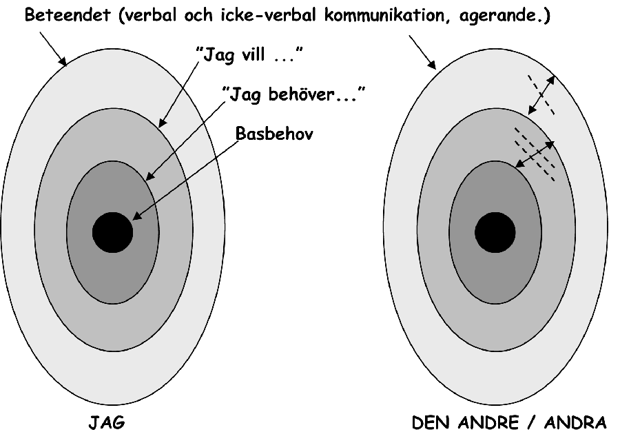 Lökmodellen